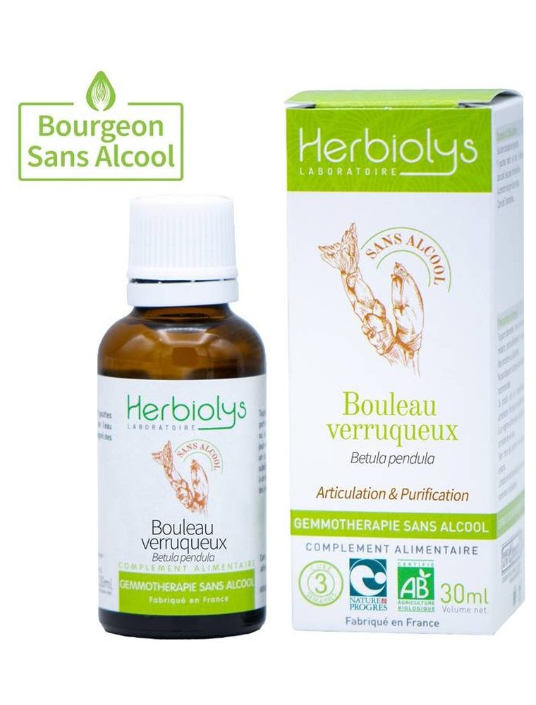 Image principale de la modale pour Bouleau Verruqueux Macérât de bourgeons Sans Alcool Bio - Articulation et Purification 30 ml - Herbiolys