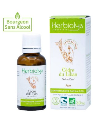 Image de Cèdre du Liban Macérât de bourgeons Sans Alcool Bio - Peau 30 ml - Herbiolys depuis Achetez les produits Herbiolys à l'herboristerie Louis (2)