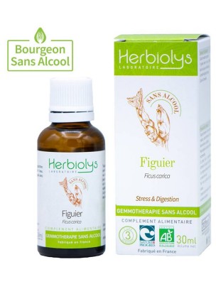 Image de Figuier Macérât de bourgeons Sans Alcool Bio 30 ml - Herbiolys depuis louis-herboristerie
