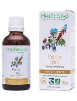 Image de Poirier Fruit Bio - Antioxydant Teinture-mère de Pyrus communis 50 ml - Herbiolys depuis Produits pour Sommeil et Énergie | Louis Herboristerie (21)