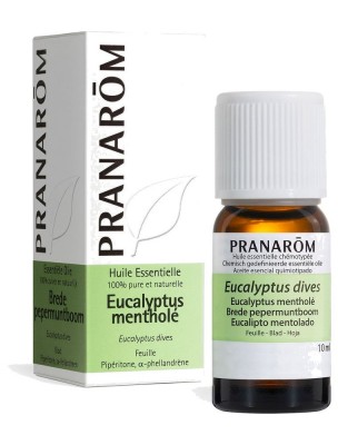 Image de Eucalyptus mentholé - Huile essentielle Eucalyptus dives 10 ml - Pranarôm depuis Achetez les produits Pranarôm à l'herboristerie Louis (2)