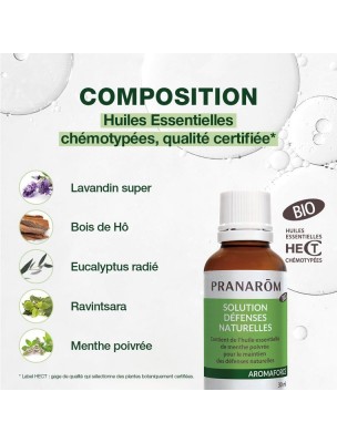 https://www.louis-herboristerie.com/81332-home_default/aromaforce-solution-defenses-naturelles-bio-huiles-essentielles-30-ml-pranarom.jpg Image 81332 supplémentaire pour Aromaforce - Solution Défenses naturelles Bio - Huiles essentielles 30 ml - Pranarôm