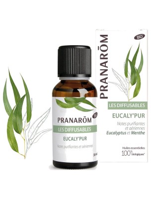 Image de Eucaly'pur Bio - Respiration Les Diffusables 30 ml - Pranarôm depuis Achetez les produits Pranarôm à l'herboristerie Louis (2)