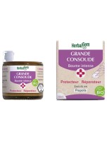 Image de Baume Intense à la Grande Consoude Bio - Réparateur et Protecteur 30 ml - Herbalgem depuis Baumes et pommades apaisants | Louis Herboristerie