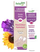Image de Baume à Lèvres à la Grande Consoude Bio - Soin réparateur 10 ml - Herbalgem depuis Baumes et pommades apaisants | Louis Herboristerie