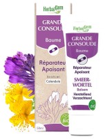 Image de Baume à la Grande Consoude Bio - Chocs et irritations 50 ml - Herbalgem depuis Baumes et pommades apaisants | Louis Herboristerie