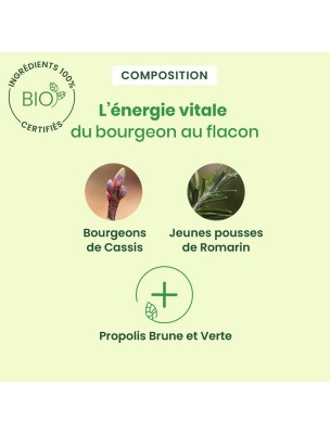 https://www.louis-herboristerie.com/81347-home_default/allargem-gc01-bio-allergies-30-ml-herbalgem.jpg Image 81347 supplémentaire pour AllarGEM GC01 Bio - Allergies 30 ml - Herbalgem