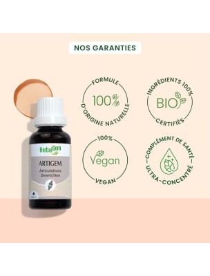 Image 81350 supplémentaire pour ArtiGEM GC02 Bio - Articulations douloureuses 30 ml – Herbalgem