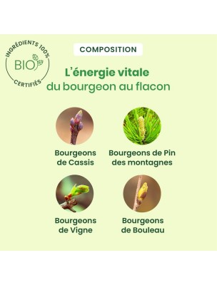 Image 81351 supplémentaire pour ArtiGEM GC02 Bio - Articulations douloureuses 30 ml – Herbalgem