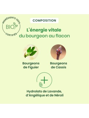 Image 81354 supplémentaire pour CalmiGEM GC03 Bio Spray - Stress et anxiété 15 ml - Herbalgem