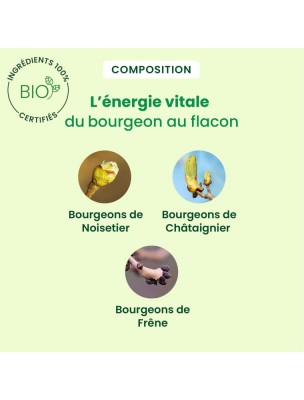 Petite image du produit CelluliGEM GC05 Bio - Élimine la cellulite durablement 30 ml - Herbalgem