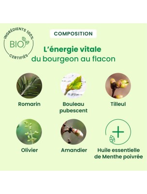 Image 81361 supplémentaire pour CholesteGEM GC06 Bio - Cholestérol 30 ml - Herbalgem