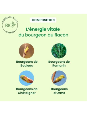 Image 81371 supplémentaire pour Détox Express Bio - Purification 7 Monodoses de 10 ml - Herbalgem