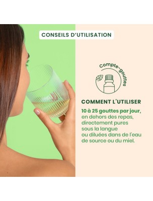 https://www.louis-herboristerie.com/81388-home_default/feminagem-gc21-bio-confort-menstruel-30-ml-herbalgem.jpg Image 81388 supplémentaire pour FeminaGEM GC21 Bio - Confort menstruel 30 ml - Herbalgem