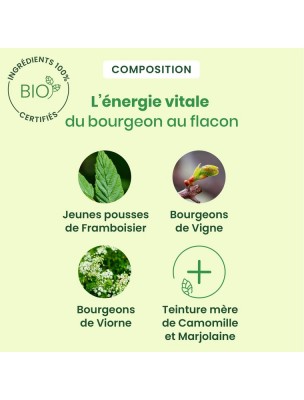 https://www.louis-herboristerie.com/81391-home_default/feminagem-gc21-bio-confort-menstruel-spray-de-15-ml-herbalgem.jpg Image 81391 supplémentaire pour FeminaGEM GC21 Bio - Confort menstruel Spray de 15 ml - Herbalgem