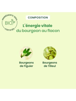 https://www.louis-herboristerie.com/81404-home_default/noctigem-gc11-bio-sommeil-30-ml-herbalgem.jpg Image 81404 supplémentaire pour NoctiGEM GC11 Bio - Sommeil 30 ml - Herbalgem