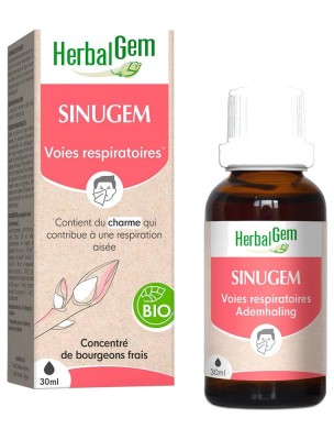 https://www.louis-herboristerie.com/81418-home_default/sinugem-gc15-bio-voies-respiratoires-30-ml-herbalgem.jpg Image 81418 supplémentaire pour SinuGEM GC15 Bio - Voies respiratoires 30 ml - Herbalgem