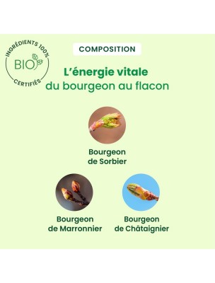 https://www.louis-herboristerie.com/81431-home_default/venagem-gc17-bio-circulation-veineuse-30-ml-herbalgem.jpg Image 81431 supplémentaire pour VenaGEM GC17 Bio - Circulation veineuse 30 ml - Herbalgem