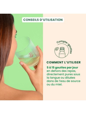 https://www.louis-herboristerie.com/81432-home_default/venagem-gc17-bio-circulation-veineuse-30-ml-herbalgem.jpg Image 81432 supplémentaire pour VenaGEM GC17 Bio - Circulation veineuse 30 ml - Herbalgem