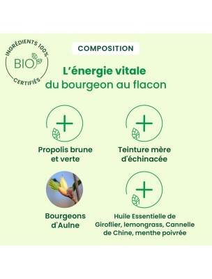 https://www.louis-herboristerie.com/81442-home_default/propolis-bio-large-spectre-systeme-respiratoire-spray-de-15-ml-herbalgem.jpg Image 81442 supplémentaire pour Propolis Bio Large Spectre - Système respiratoire Spray de 15 ml - Herbalgem