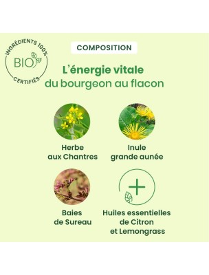 https://www.louis-herboristerie.com/81443-home_default/sirop-des-chantres-bio-soulagez-vos-cordes-vocales-250-ml-herbalgem.jpg Image 81443 supplémentaire pour Sirop des chantres Bio - Soulagez vos cordes vocales 250 ml - Herbalgem