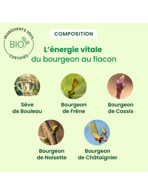 https://www.louis-herboristerie.com/81463-home_default/celluseve-bio-drainage-de-l-organisme-en-douceur-250-ml-herbalgem.jpg Image 81463 supplémentaire pour CelluSEVE Bio - Drainage de l'organisme en douceur 250 ml - Herbalgem