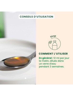 https://www.louis-herboristerie.com/81464-home_default/celluseve-bio-drainage-de-l-organisme-en-douceur-250-ml-herbalgem.jpg Image 81464 supplémentaire pour CelluSEVE Bio - Drainage de l'organisme en douceur 250 ml - Herbalgem