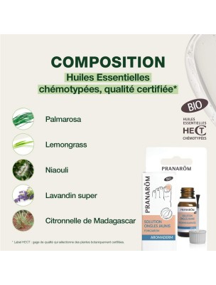 https://www.louis-herboristerie.com/81479-home_default/fongiarom-bio-aromaderm-lotion-ongles-jaunis-10-ml-pranarom.jpg Image 81479 supplémentaire pour Fongiarom Bio - Aromaderm Lotion Ongles jaunis 10 ml - Pranarôm