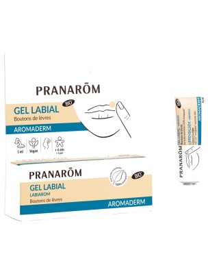 Image de Gel Labial Labiarom - Aromaderm Gel labial 5 ml - Pranarôm depuis Achetez les produits Pranarôm à l'herboristerie Louis (3)