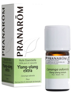 https://www.louis-herboristerie.com/81515-home_default/ylang-ylang-extra-huile-essentielle-de-cananga-odorata-5-ml-pranarom.jpg Image 81515 supplémentaire pour Ylang-ylang extra - Huile essentielle de Cananga odorata 5 ml - Pranarôm