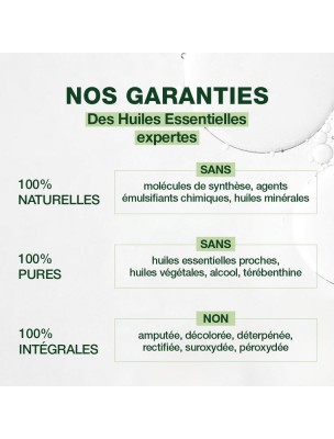 https://www.louis-herboristerie.com/81538-home_default/menthe-poivree-bio-huile-essentielle-mentha-piperita-30-ml-pranarom.jpg Image 81538 supplémentaire pour Menthe poivrée Bio - Huile essentielle Mentha piperita 30 ml - Pranarôm