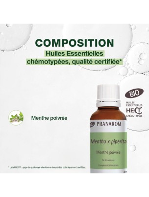 https://www.louis-herboristerie.com/81539-home_default/menthe-poivree-bio-huile-essentielle-mentha-piperita-30-ml-pranarom.jpg Image 81539 supplémentaire pour Menthe poivrée Bio - Huile essentielle Mentha piperita 30 ml - Pranarôm
