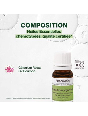 Image 81687 supplémentaire pour Géranium rosat cv Bourbon - Pelargonium x graveolens 10 ml - Pranarôm