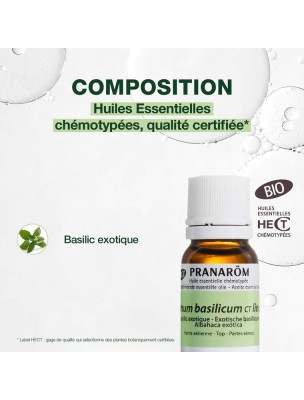 https://www.louis-herboristerie.com/81727-home_default/basilic-exotique-bio-huile-essentielle-ocimum-basilicum-10-ml-pranarom-.jpg Image 81727 supplémentaire pour Basilic Exotique Bio - Huile essentielle d'Ocimum basilicum ct linalol 10 ml - Pranarôm