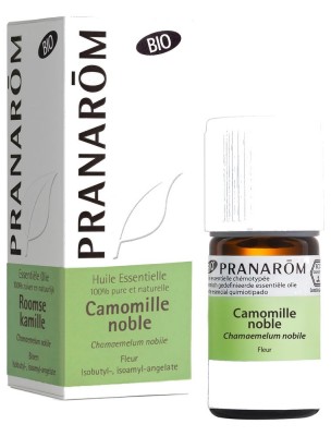 Image de Camomille romaine (noble) Bio - Huile essentielle Chamaemelum nobile 5 ml - Pranarôm depuis Achetez les produits Pranarôm à l'herboristerie Louis (2)