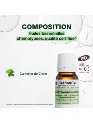 Image 81743 supplémentaire pour Cannelier de Chine Bio - Cinnamomum cassia 10 ml - Pranarôm