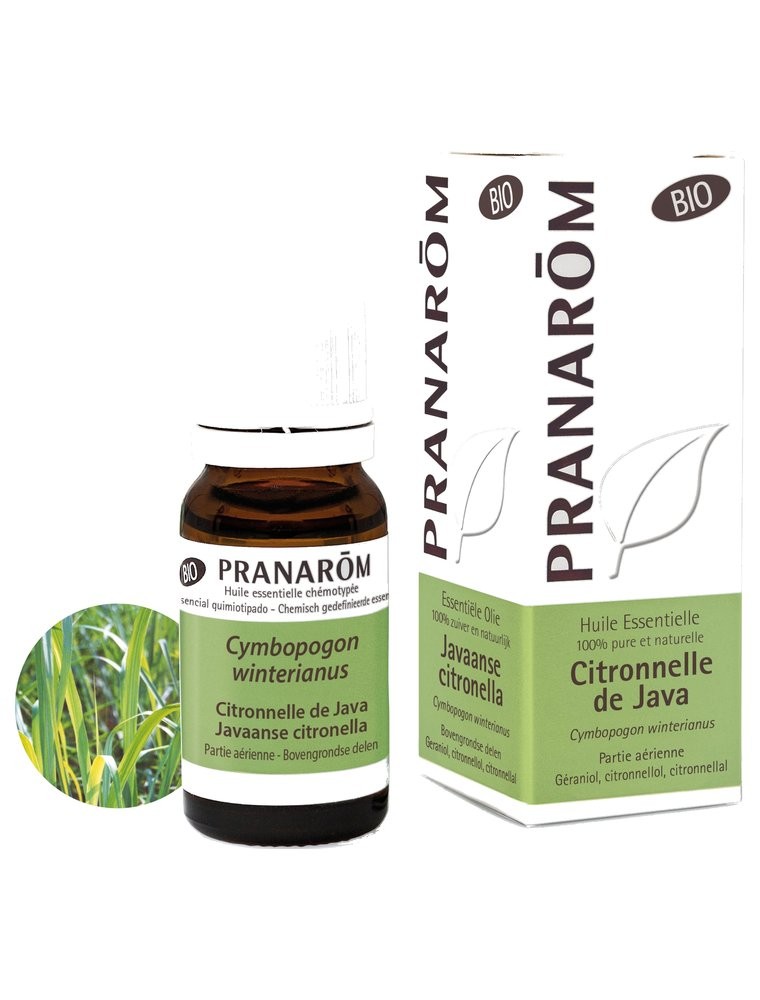 Image principale de la modale pour Citronnelle de Java Bio - Huile essentielle Cymbopogon winterianus 10 ml - Pranarôm