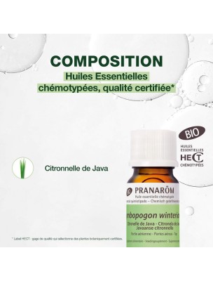 https://www.louis-herboristerie.com/81750-home_default/citronnelle-de-java-bio-huile-essentielle-pranarm-10-ml.jpg Image 81750 supplémentaire pour Citronnelle de Java Bio - Huile essentielle Cymbopogon winterianus 10 ml - Pranarôm