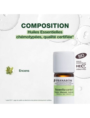 https://www.louis-herboristerie.com/81759-home_default/encens-oliban-bio-huile-essentielle-de-boswellia-carteri-5-ml-pranarom.jpg Image 81759 supplémentaire pour Encens (oliban) Bio - Huile essentielle de Boswellia carteri 5 ml - Pranarôm