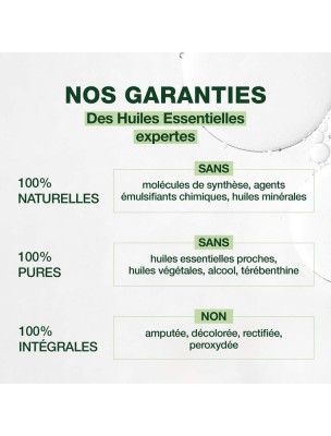 Image 81773 supplémentaire pour Eucalyptus radié - Huile essentielle Eucalyptus radiata 10 ml - Pranarôm
