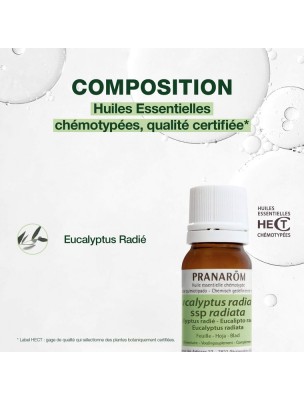 Image 81774 supplémentaire pour Eucalyptus radié - Huile essentielle Eucalyptus radiata 10 ml - Pranarôm