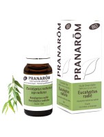 Image de Eucalyptus radié Bio - Huile essentielle Eucalyptus radiata 10 ml - Pranarôm depuis Solutions Naturelles pour votre Santé | Louis Herboristerie (41)