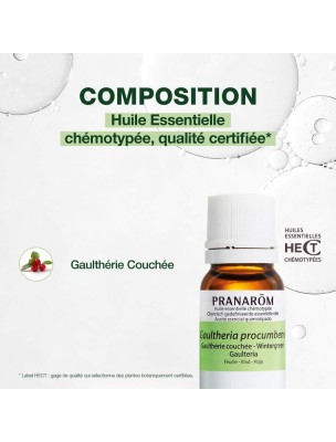 https://www.louis-herboristerie.com/81785-home_default/gaulthrie-couche-huile-essentielle-pranarm-10-ml.jpg Image 81785 supplémentaire pour Gaulthérie couchée - Huile essentielle de Gaultheria procumbens 10 ml - Pranarôm