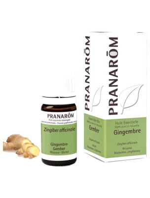 https://www.louis-herboristerie.com/81792-home_default/gingembre-huile-essentielle-zingiber-officinale-5-ml-pranarom.jpg Image 81792 supplémentaire pour Gingembre - Huile essentielle Zingiber officinale 5 ml - Pranarôm
