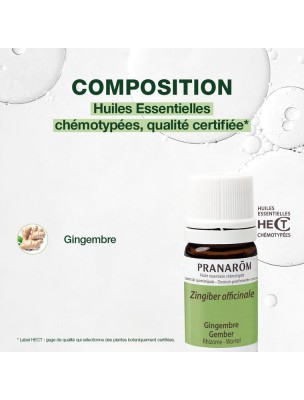 https://www.louis-herboristerie.com/81794-home_default/gingembre-huile-essentielle-zingiber-officinale-5-ml-pranarom.jpg Image 81794 supplémentaire pour Gingembre - Huile essentielle Zingiber officinale 5 ml - Pranarôm