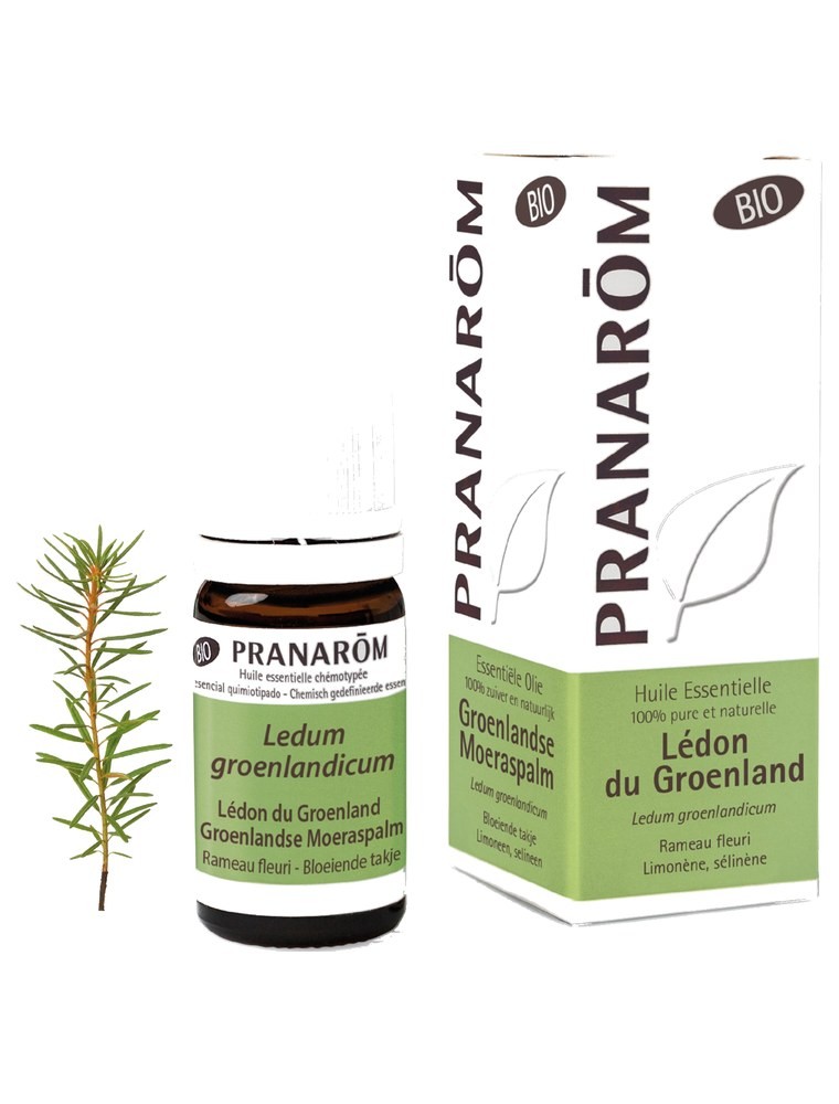 Image principale de la modale pour Lédon du Groenland Bio - Ledum groenlandicum 5 ml - Pranarôm