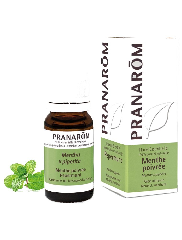 Image principale de la modale pour Menthe poivrée - Huile essentielle Mentha x piperita 10 ml - Pranarôm