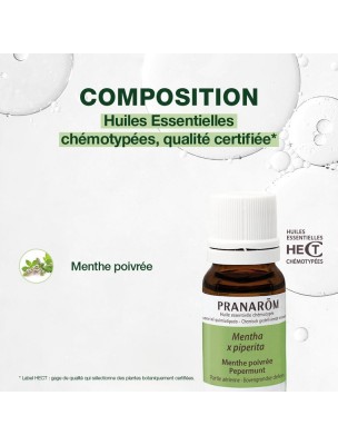 https://www.louis-herboristerie.com/81869-home_default/menthe-poivree-huile-essentielle-mentha-x-piperita-10-ml-pranarom.jpg Image 81869 supplémentaire pour Menthe poivrée - Huile essentielle Mentha x piperita 10 ml - Pranarôm
