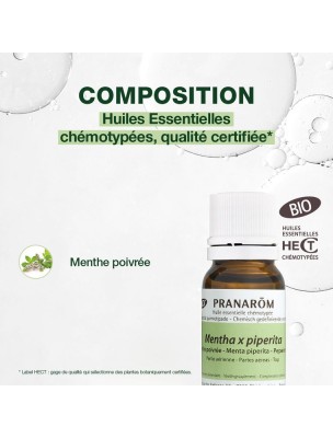 https://www.louis-herboristerie.com/81877-home_default/menthe-poivree-bio-huile-essentielle-mentha-piperita-10-ml-pranarom.jpg Image 81877 supplémentaire pour Menthe poivrée Bio - Huile essentielle Mentha piperita 10 ml - Pranarôm