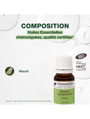 https://www.louis-herboristerie.com/81885-home_default/niaouli-bio-huile-essentielle-melaleuca-quinquenervia-10-ml-pranarom.jpg Image 81885 supplémentaire pour Niaouli Bio - Huile essentielle Melaleuca quinquenervia 10 ml - Pranarôm